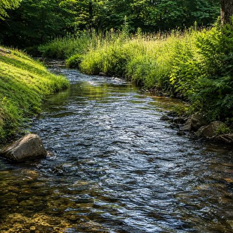 186 Snake Nation Trail, Blue Ridge, GA 30513