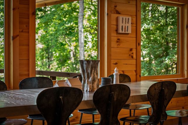 186 Snake Nation Trail, Blue Ridge, GA 30513