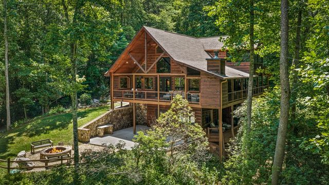 186 Snake Nation Trail, Blue Ridge, GA 30513