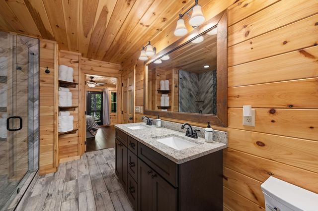 186 Snake Nation Trail, Blue Ridge, GA 30513