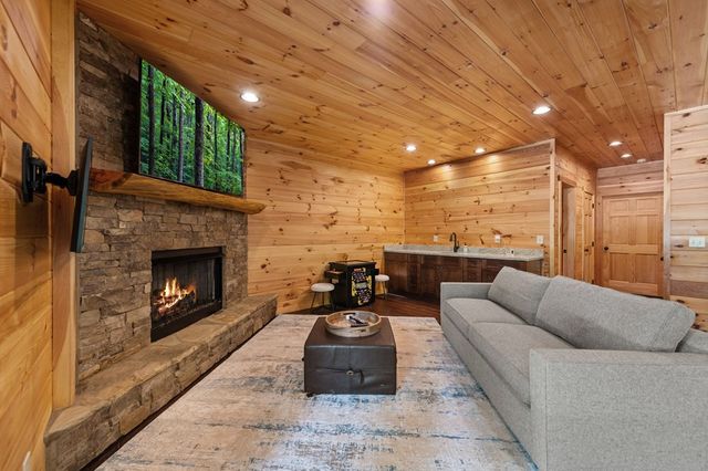 186 Snake Nation Trail, Blue Ridge, GA 30513