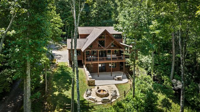 186 Snake Nation Trail, Blue Ridge, GA 30513