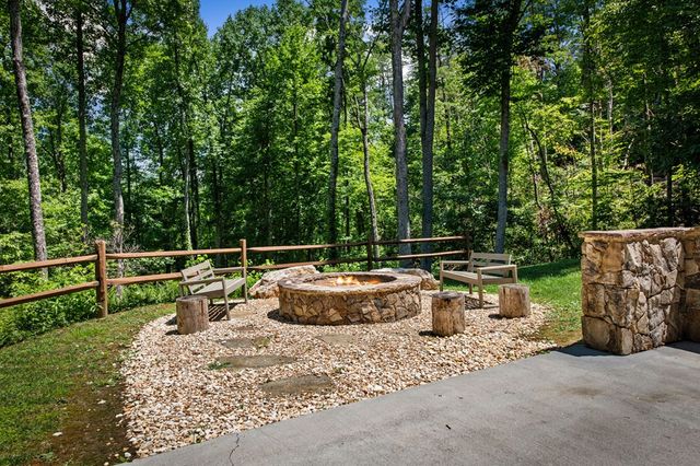 186 Snake Nation Trail, Blue Ridge, GA 30513