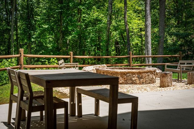186 Snake Nation Trail, Blue Ridge, GA 30513
