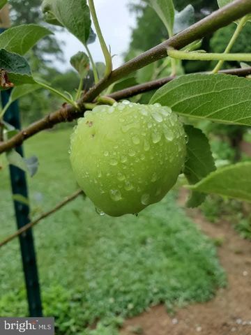 312 TIMBER TRL, Spotsylvania, VA 22551