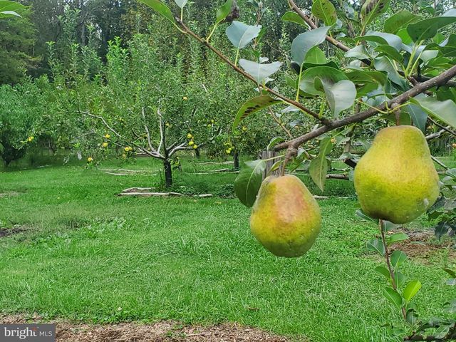 312 TIMBER TRL, Spotsylvania, VA 22551