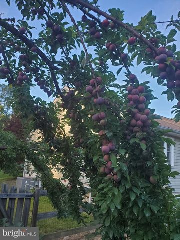 312 TIMBER TRL, Spotsylvania, VA 22551