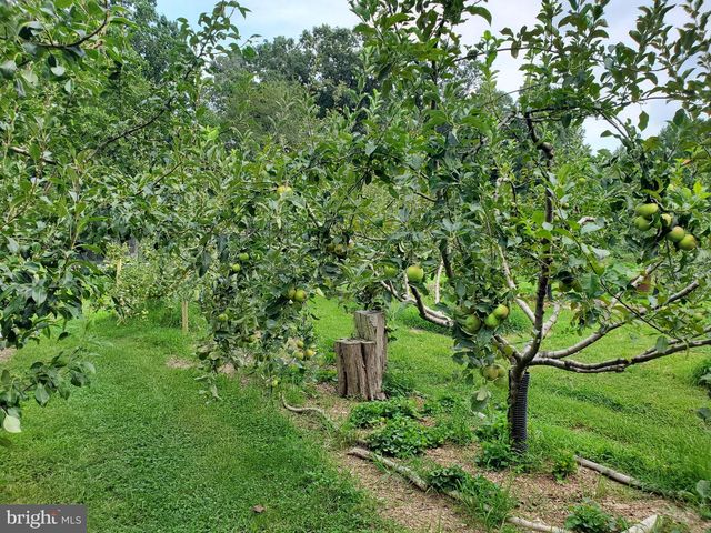 312 TIMBER TRL, Spotsylvania, VA 22551