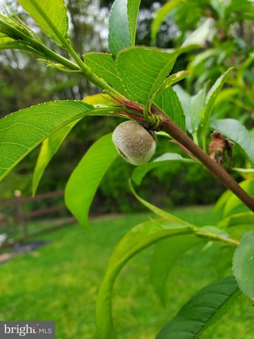 312 TIMBER TRL, Spotsylvania, VA 22551