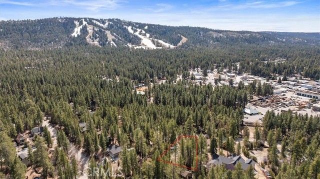 293 Catalina, Big Bear Lake, CA 92315