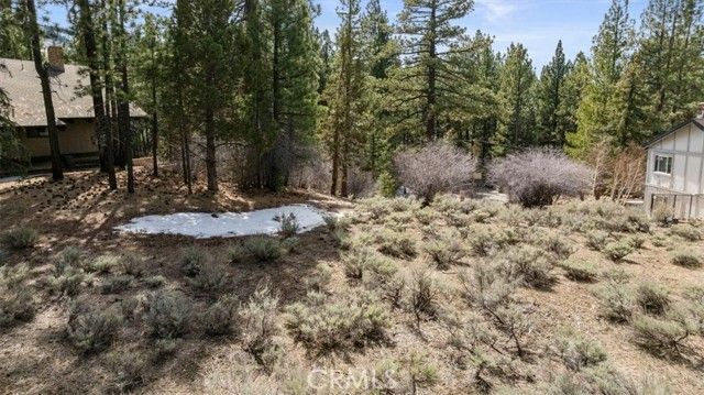 293 Catalina, Big Bear Lake, CA 92315