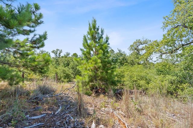 400 McAllister RD, Bastrop, TX 78602