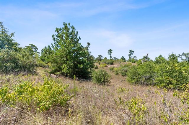 400 McAllister RD, Bastrop, TX 78602