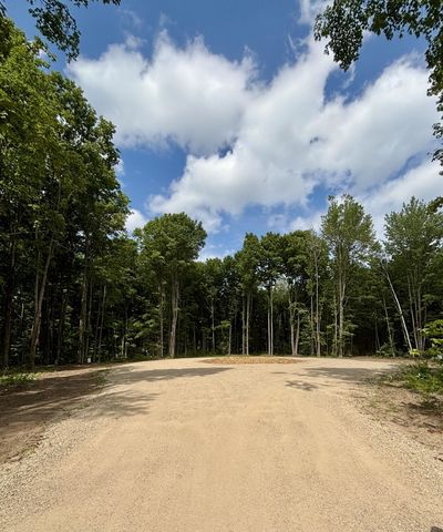 Lot 7 Manistee Ridge Drive Ne, Kalkaska, MI 49646
