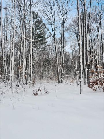 Lot 7 Manistee Ridge Drive Ne, Kalkaska, MI 49646