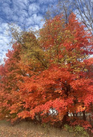 Lot 7 Manistee Ridge Drive Ne, Kalkaska, MI 49646