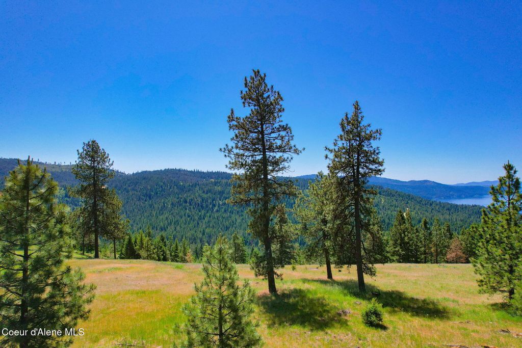 Lot 1 S Skyview Rd, Harrison, ID 83833 photo 5