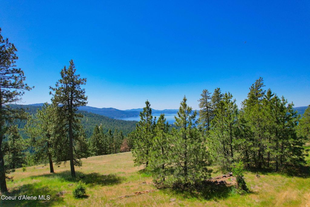 Lot 1 S Skyview Rd, Harrison, ID 83833 photo 6
