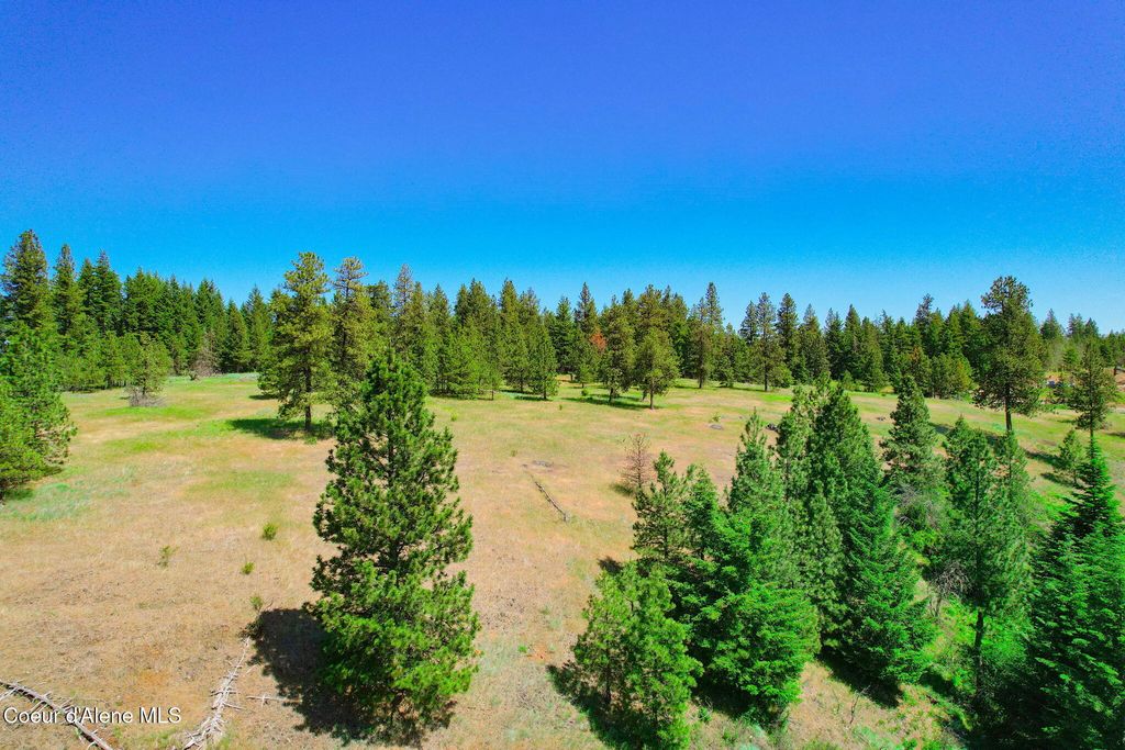 Lot 1 S Skyview Rd, Harrison, ID 83833 photo 8