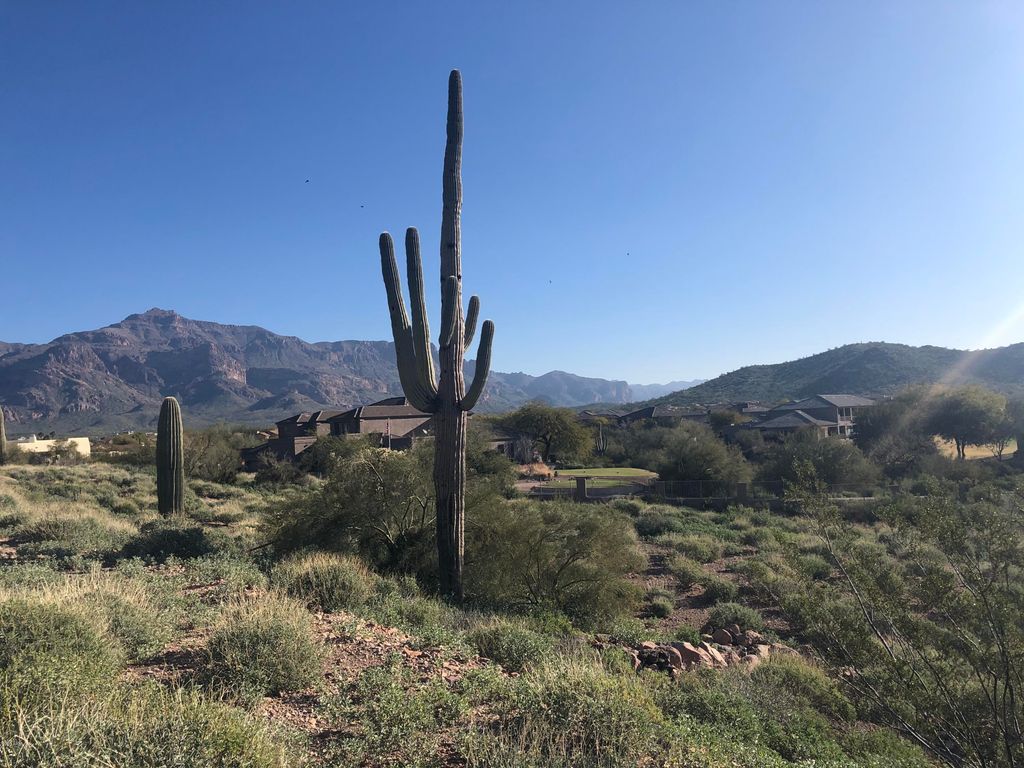 5231 S GOLD CANYON Drive 7, Gold Canyon, AZ 85118 — photo 4