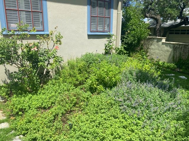 705 W Main St, Kerrville, TX 78028