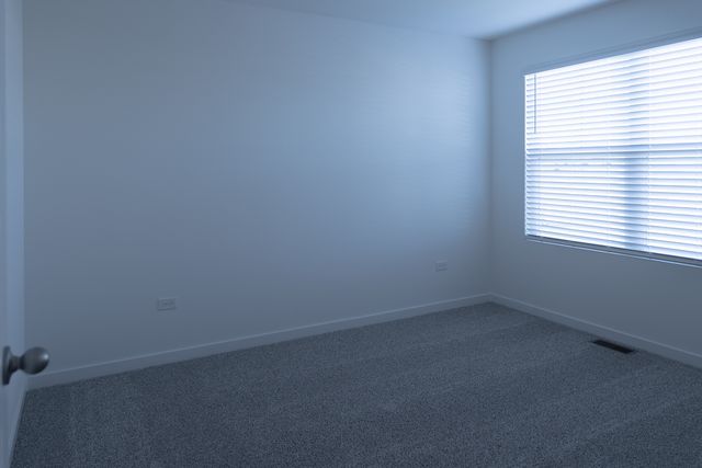 2444 Scribe Street, Oswego, IL 60543