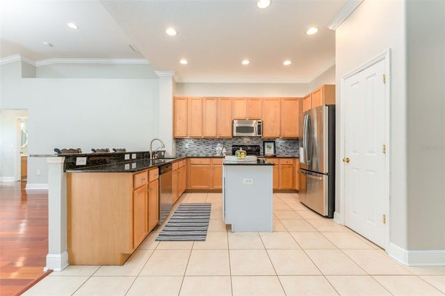 15211 MERLINGLEN PLACE, Lithia, FL 33547