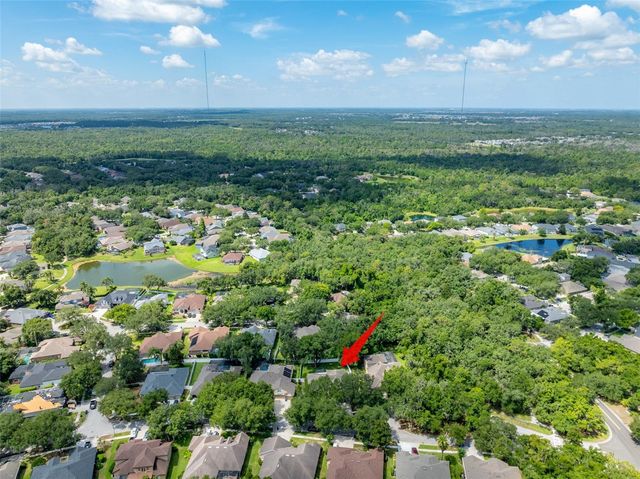 15211 MERLINGLEN PLACE, Lithia, FL 33547
