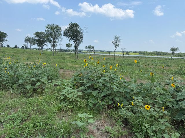 Lot 230 Waterfront Club Drive, Corsicana, TX 75110