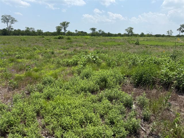 Lot 230 Waterfront Club Drive, Corsicana, TX 75110