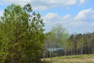 Lot 1099 Birds Eye Way, Guild, TN 37340