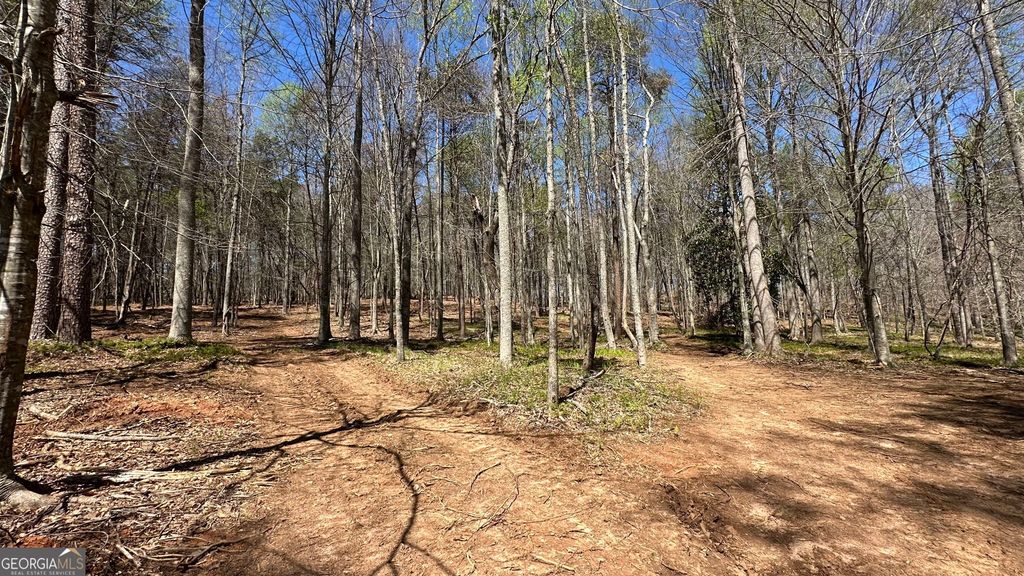 200 Annandale Drive, Clarkesville, GA 30523 — photo 2