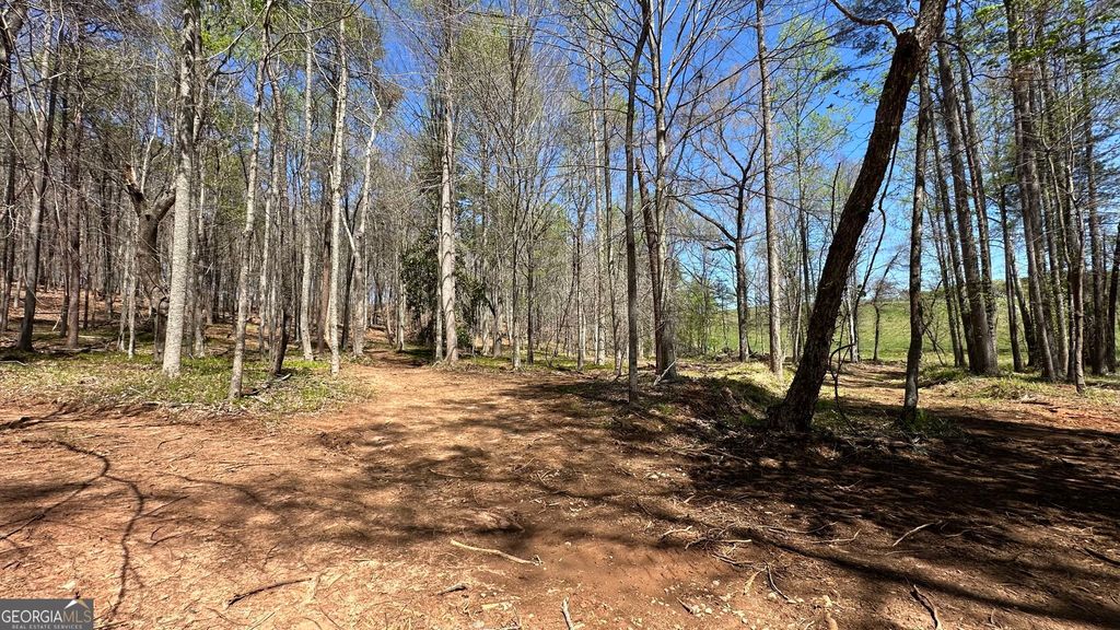 200 Annandale Drive, Clarkesville, GA 30523 — photo 3