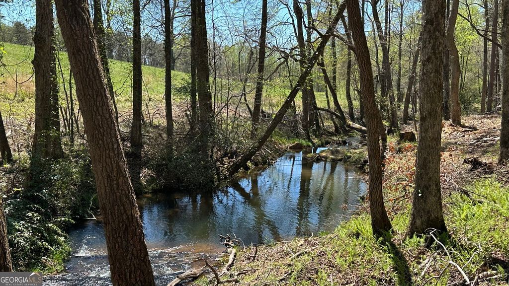 200 Annandale Drive, Clarkesville, GA 30523 — photo 5