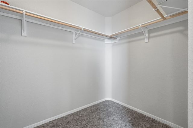 2223 Escondido, Portland, TX 78374