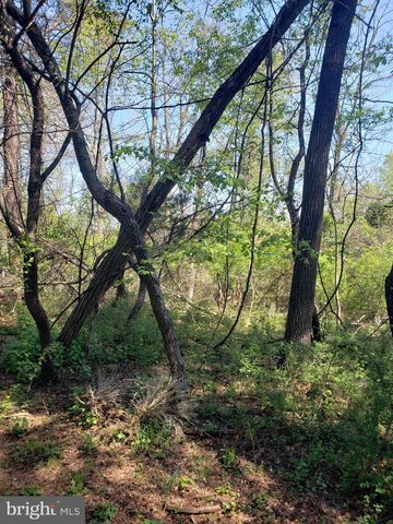 HAPPY CREEK RD, Front Royal, VA 22630
