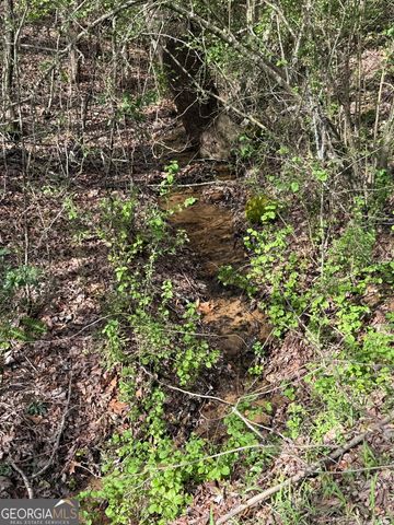 2094 Pinnacle Drive, Clayton, GA 30525