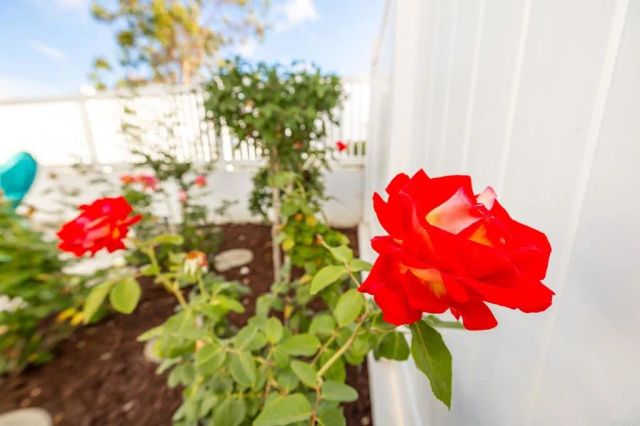 4969 Lamia Way, Oceanside, CA 92056