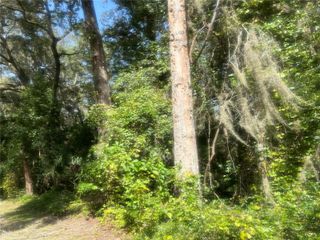 1215 ARREDONDO GRANT ROAD, De Leon Springs, FL 32130