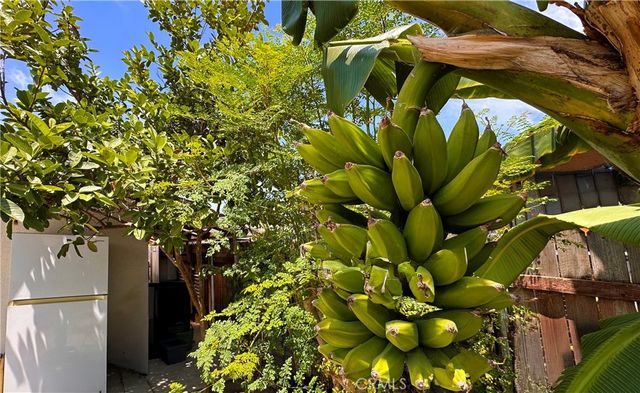 320 E 81st, Los Angeles, CA 90003