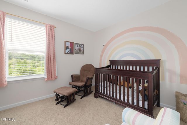 498 Brinkleys Way, Johnson City, TN 37615