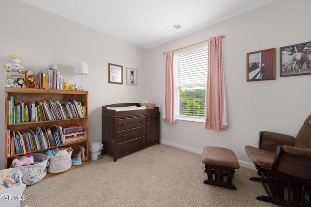 498 Brinkleys Way, Johnson City, TN 37615