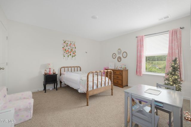 498 Brinkleys Way, Johnson City, TN 37615