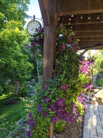 2416 62nd Street NW, Rochester, MN 55901