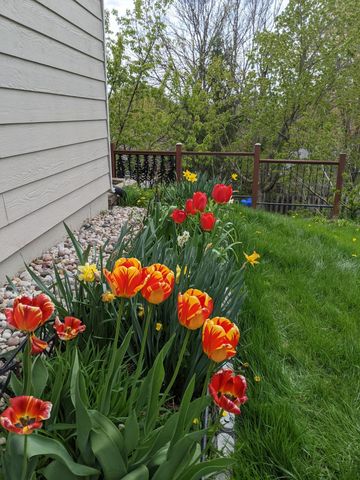 2416 62nd Street NW, Rochester, MN 55901