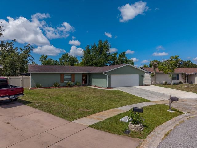4228 BRIARBERRY LANE, Tampa, FL 33624