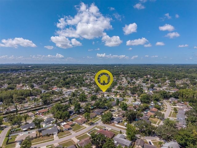 4228 BRIARBERRY LANE, Tampa, FL 33624