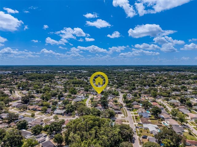 4228 BRIARBERRY LANE, Tampa, FL 33624