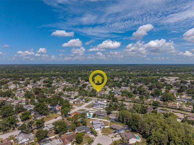 4228 BRIARBERRY LANE, Tampa, FL 33624