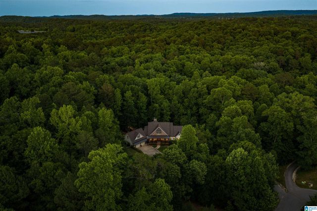111 TRILLIUM DRIVE, Irondale, AL 35210